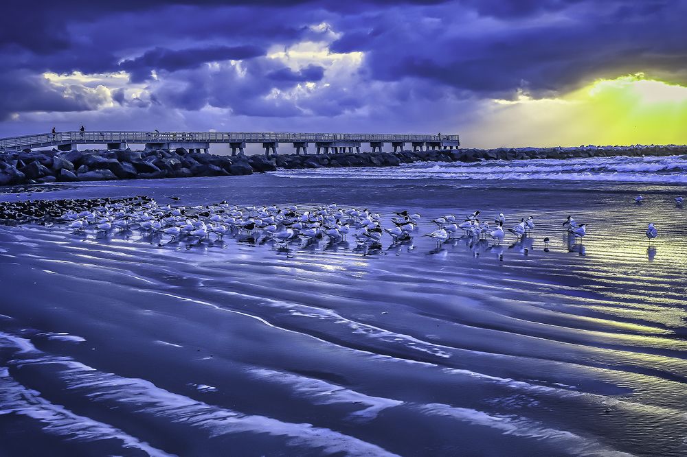 Фотография автора Raymond Asiala