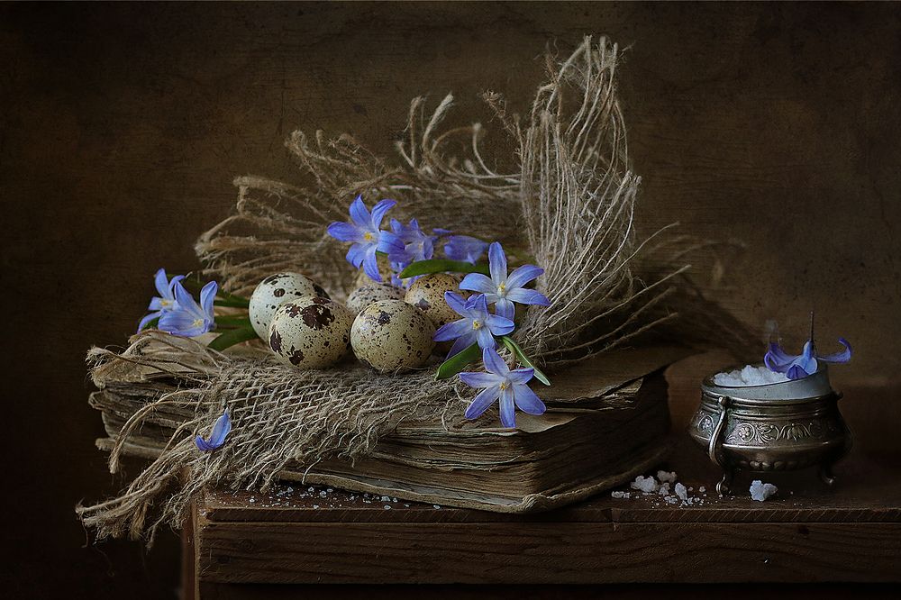 Фотография автора Светлана Дерябина