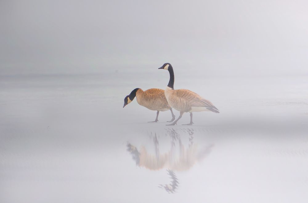 Photograph by Raghuvamsh Chavali