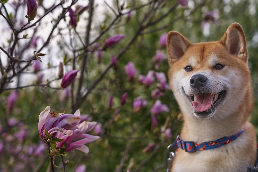 Photograph by Lukasz Pustelnik