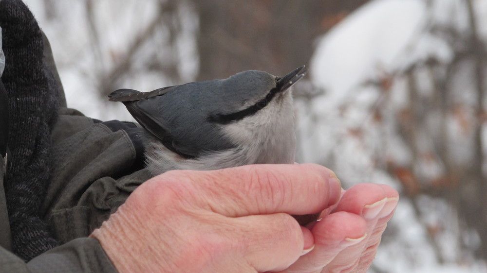 Photograph by Мария Глухова