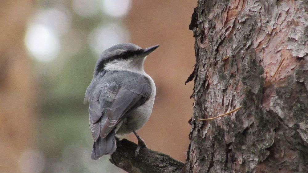 Photograph by Мария Глухова