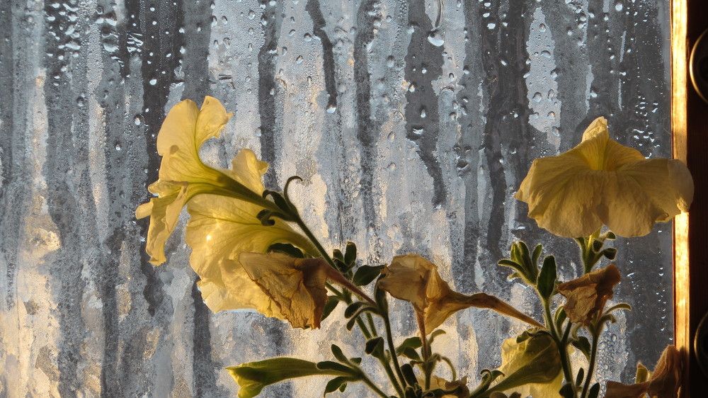 Photograph by Мария Глухова