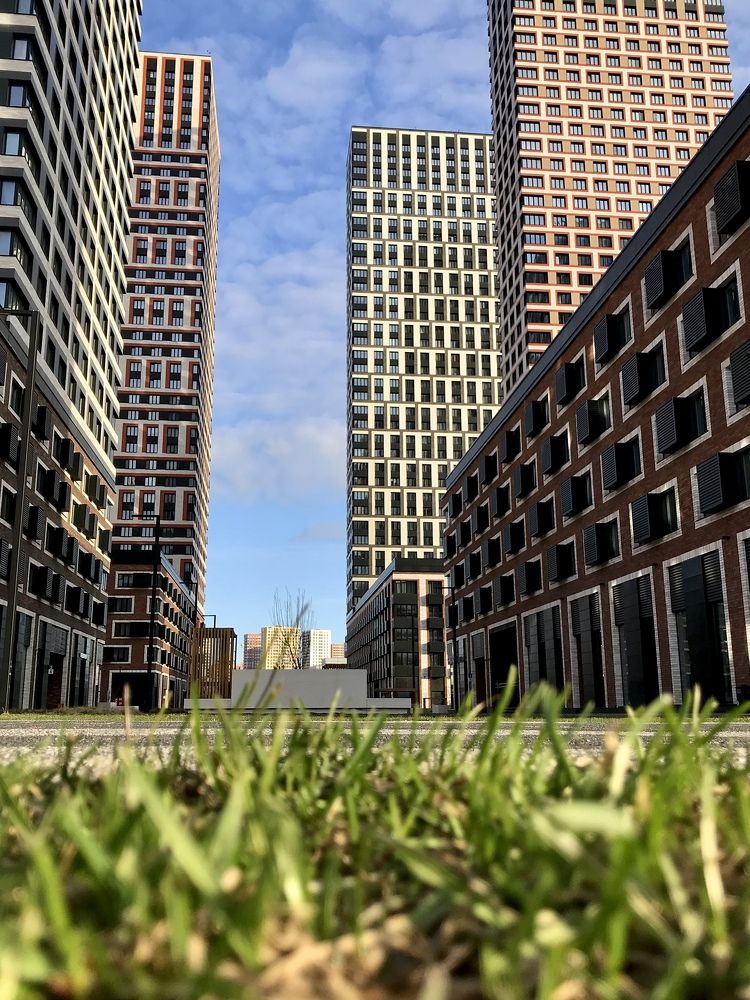 Photograph by Михаил Некрасов