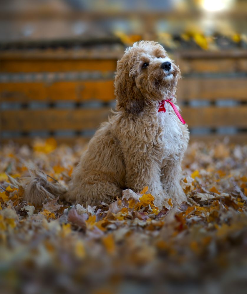 Photograph by Raghuvamsh Chavali