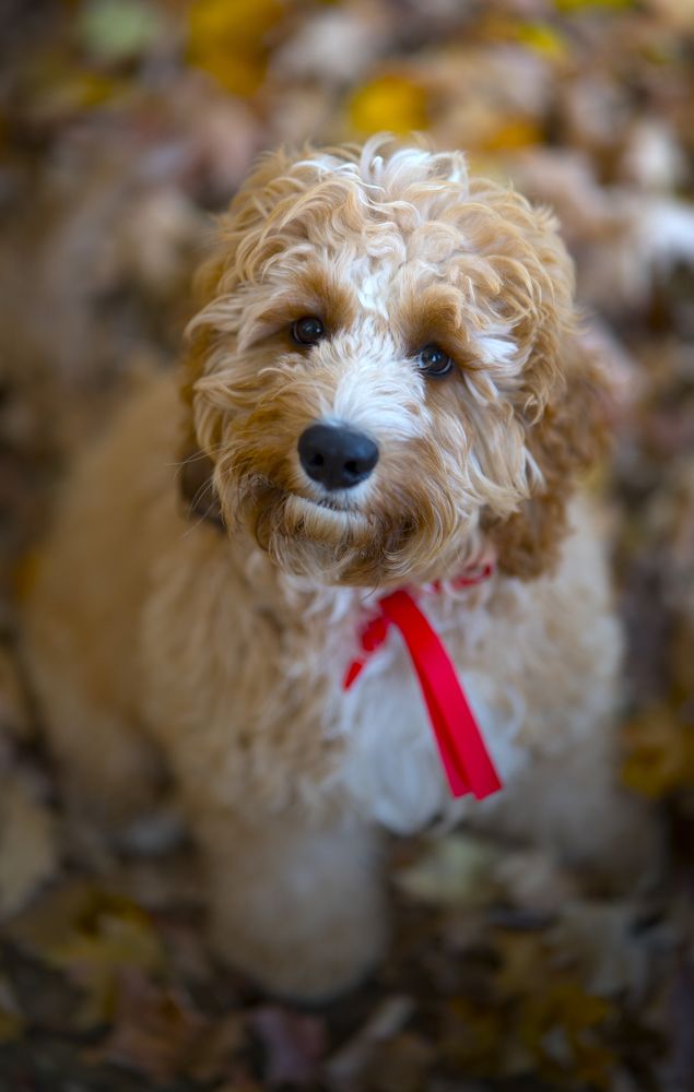 Photograph by Raghuvamsh Chavali