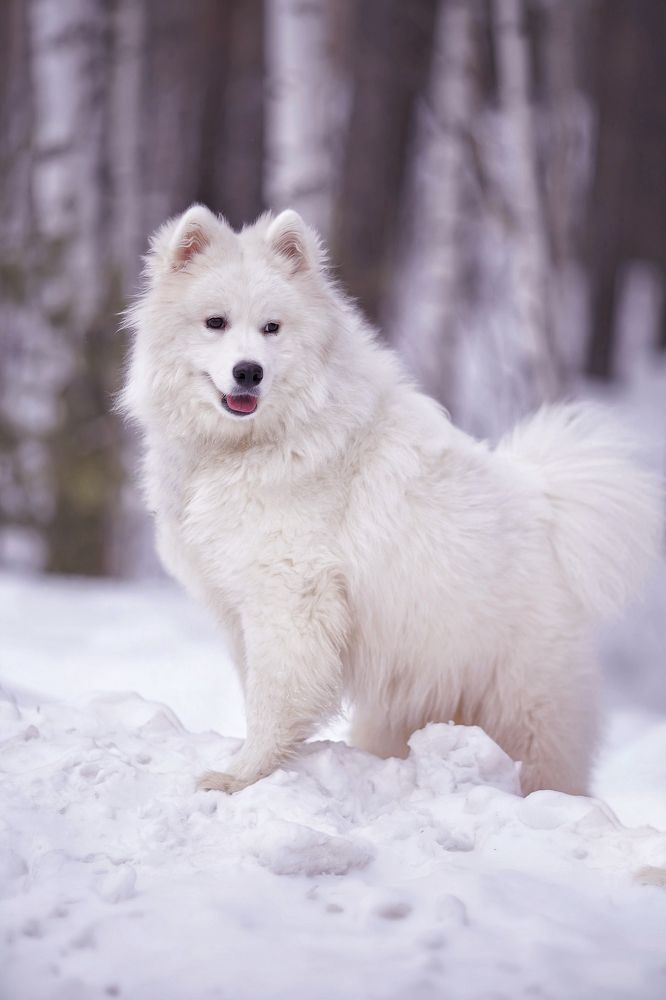 Photograph by Анна Гайнуллина