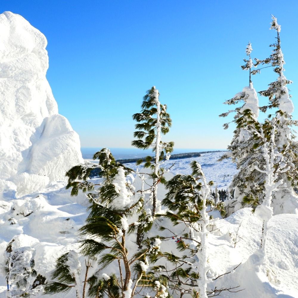 Photograph by Злобин Сергей