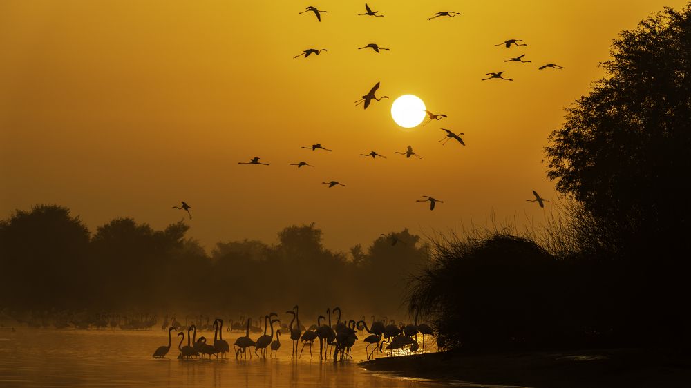 Photograph by Amar Habeeb