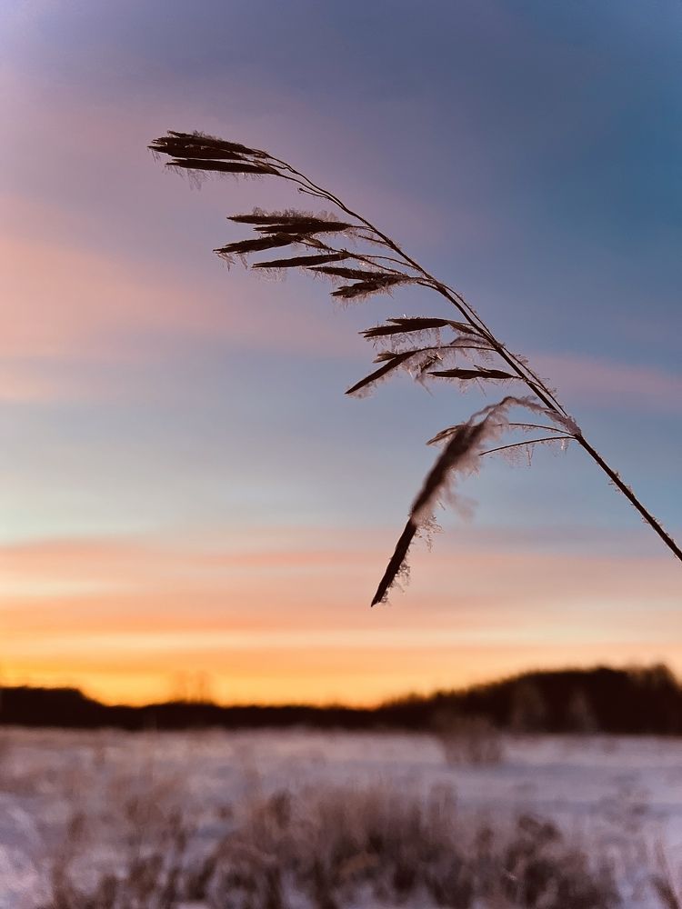 Photograph by Ольга Рачилова