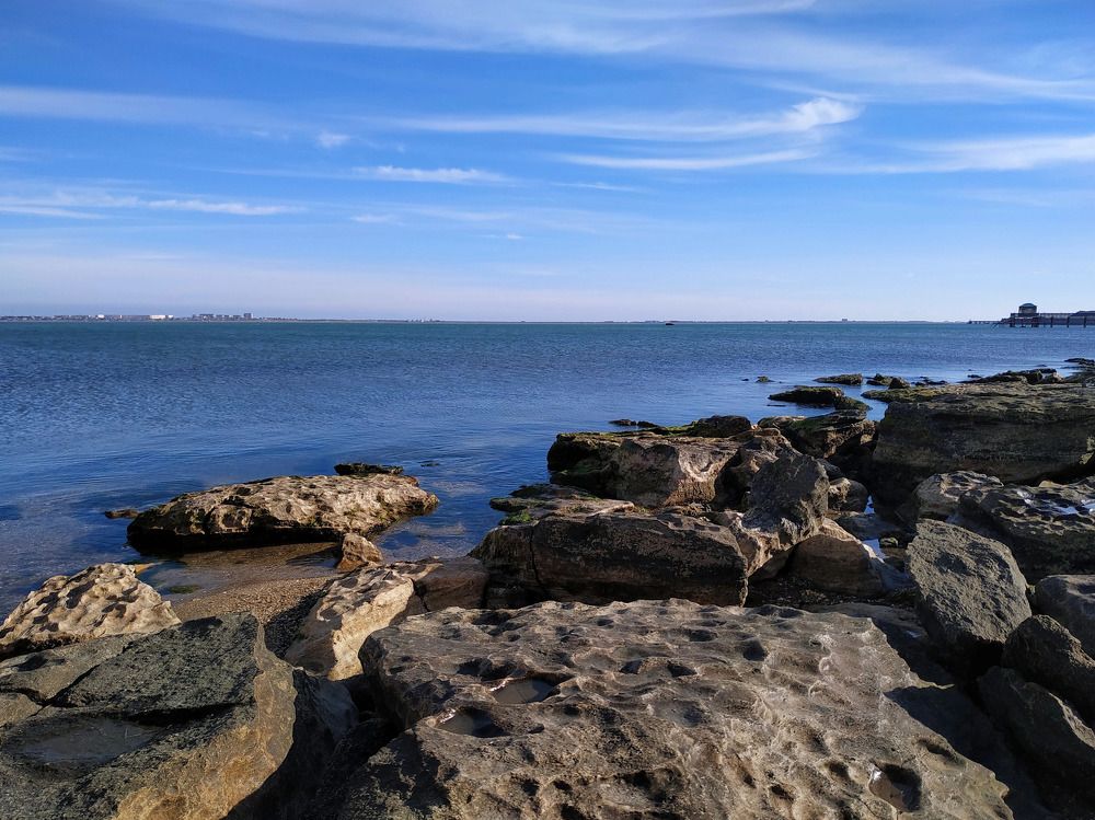 На берегу Каспийского моря