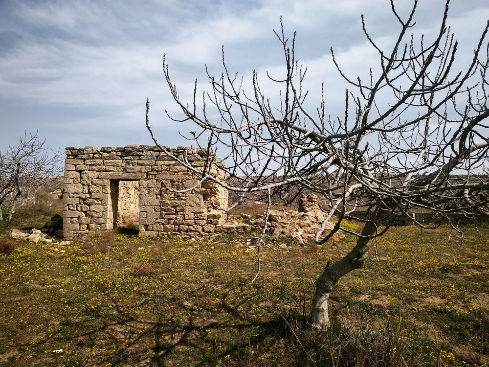 Photograph by Гюнель Султанова