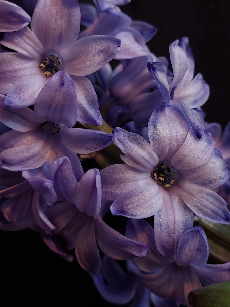 Photograph by Светлана Шиляева