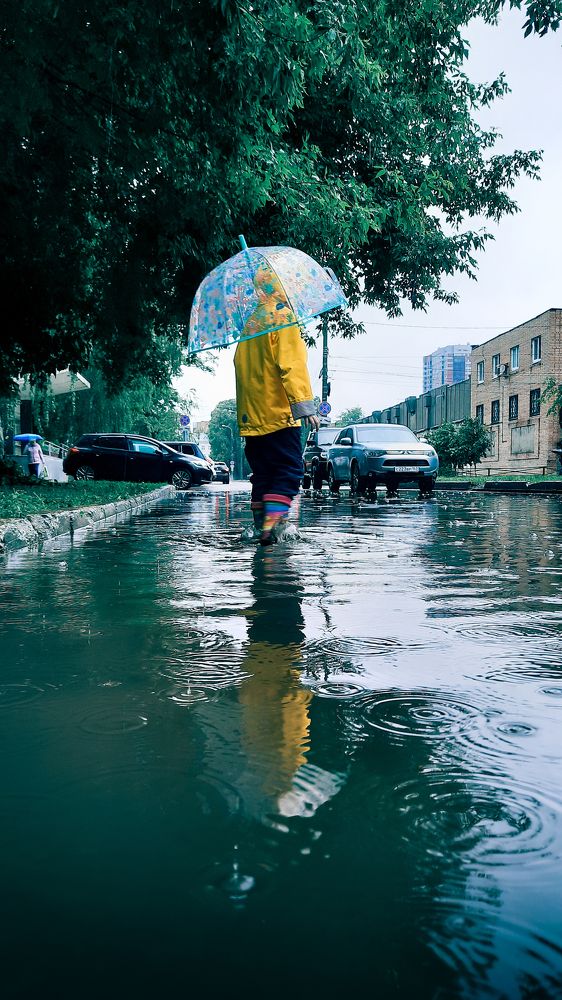 Фотография автора Дарина Фельдман