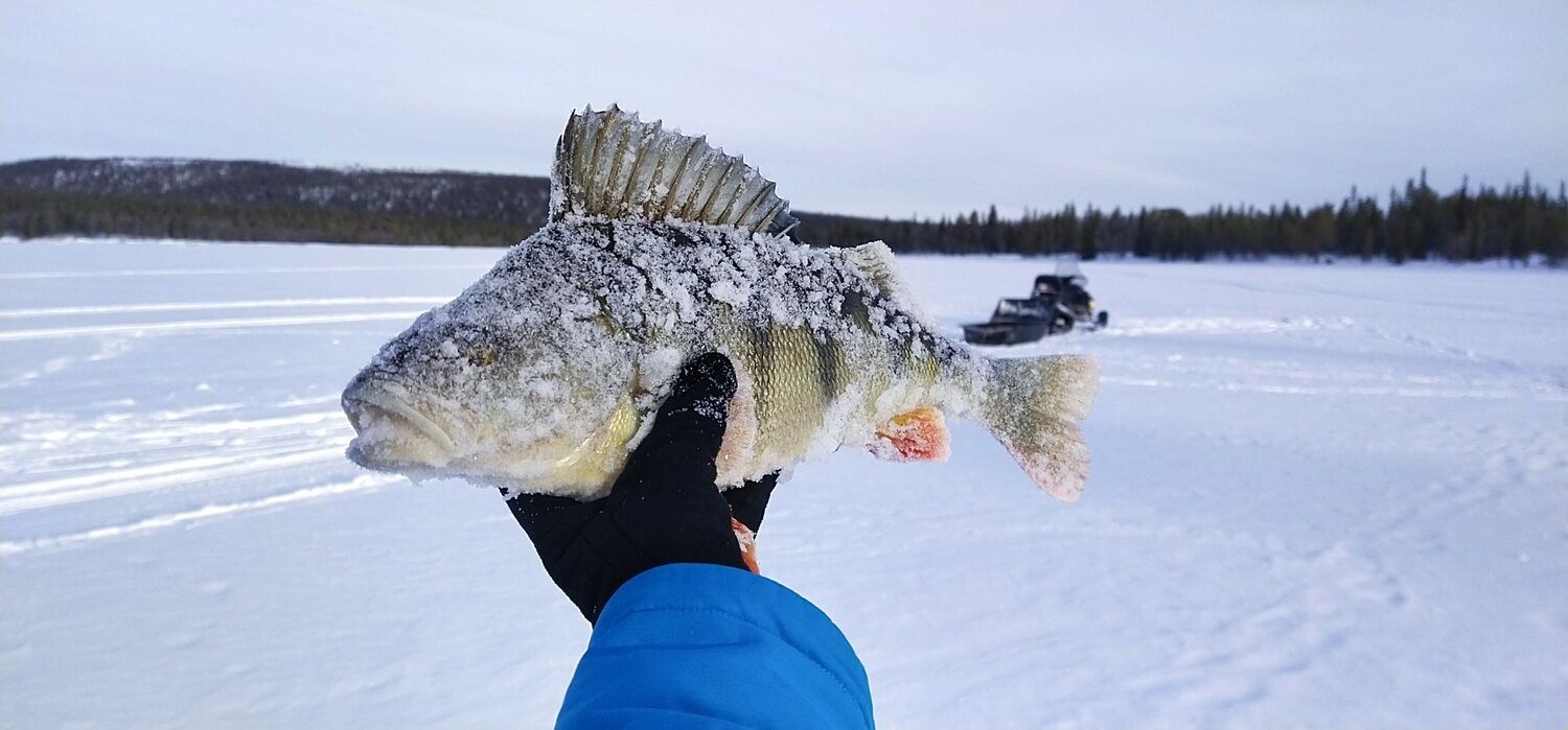 Photo #7511730