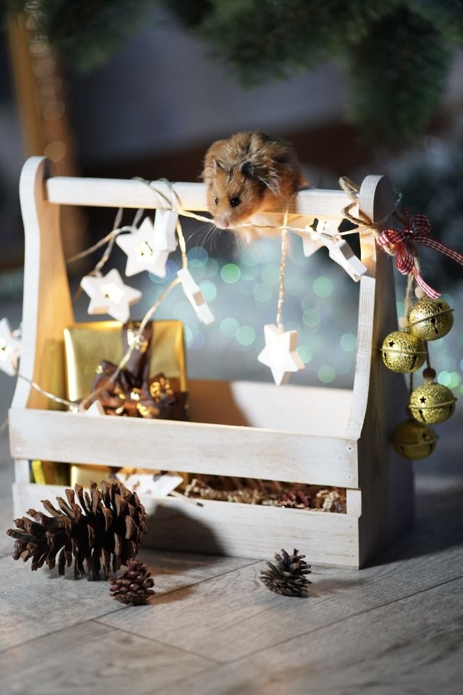 Photograph by Анна Гайнуллина