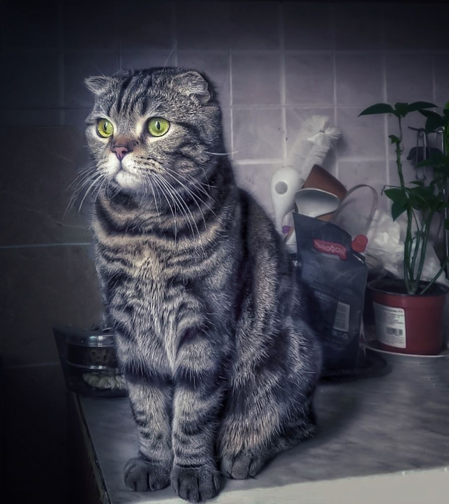 Photograph by Ольга Бородина