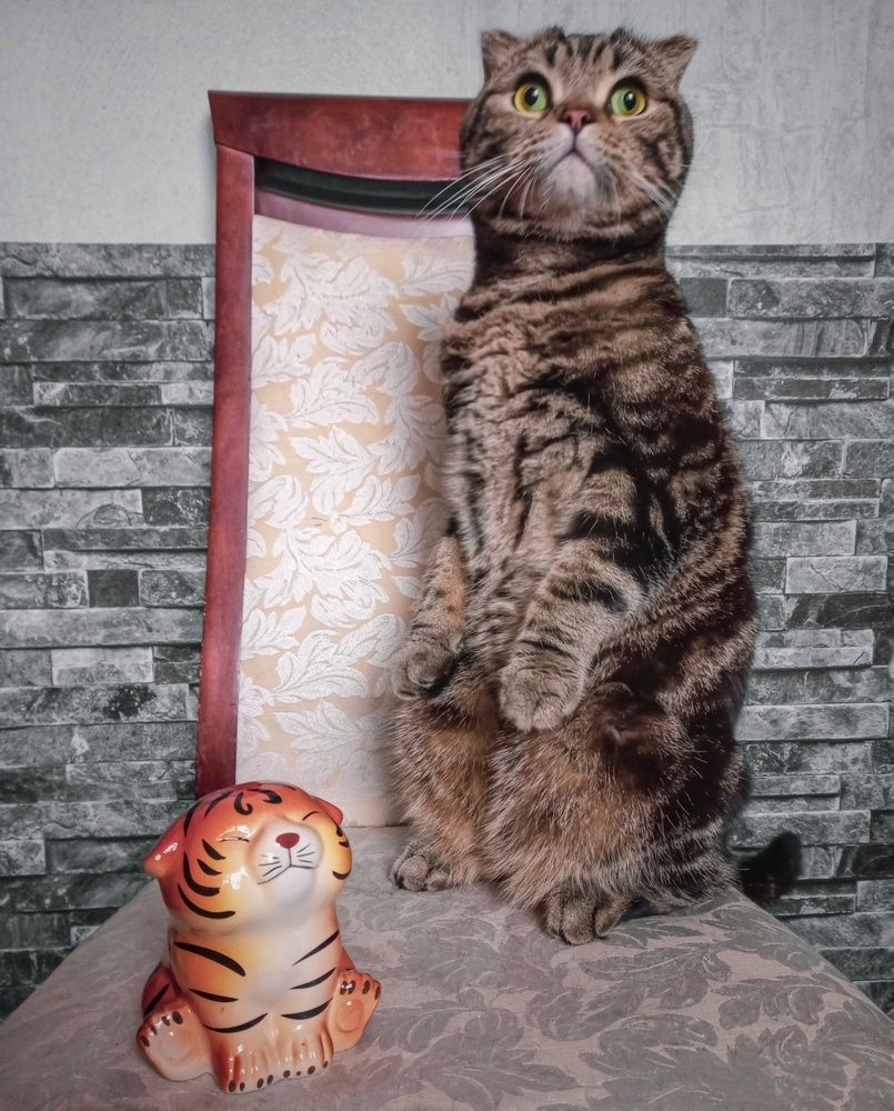 Photograph by Ольга Бородина