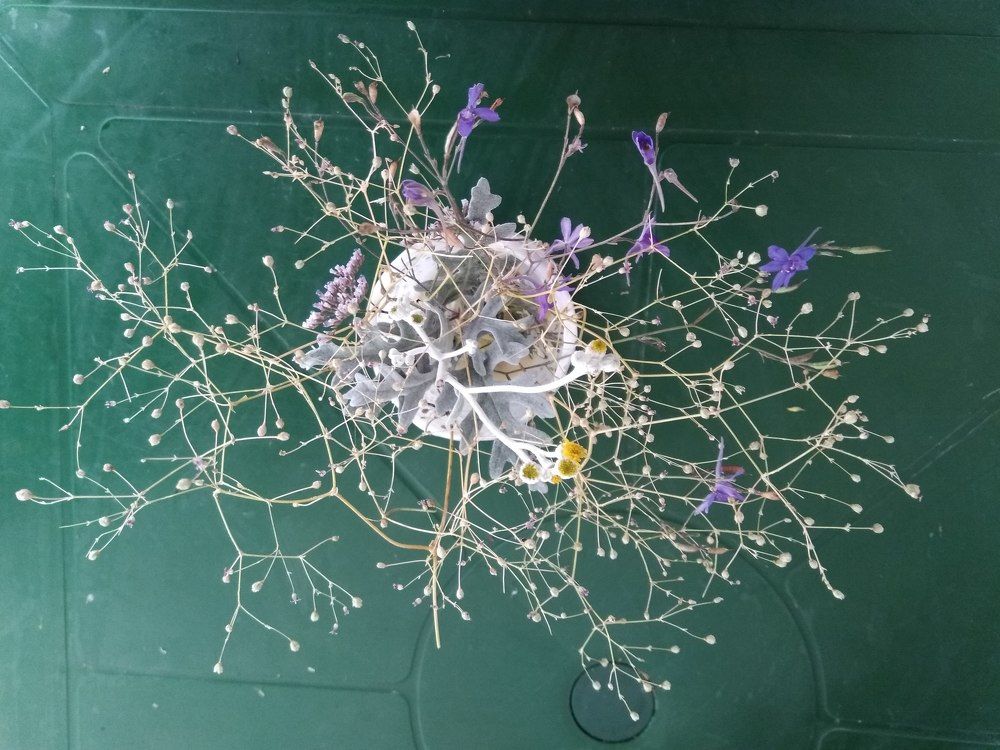 Photograph by Татьяна Ситникова