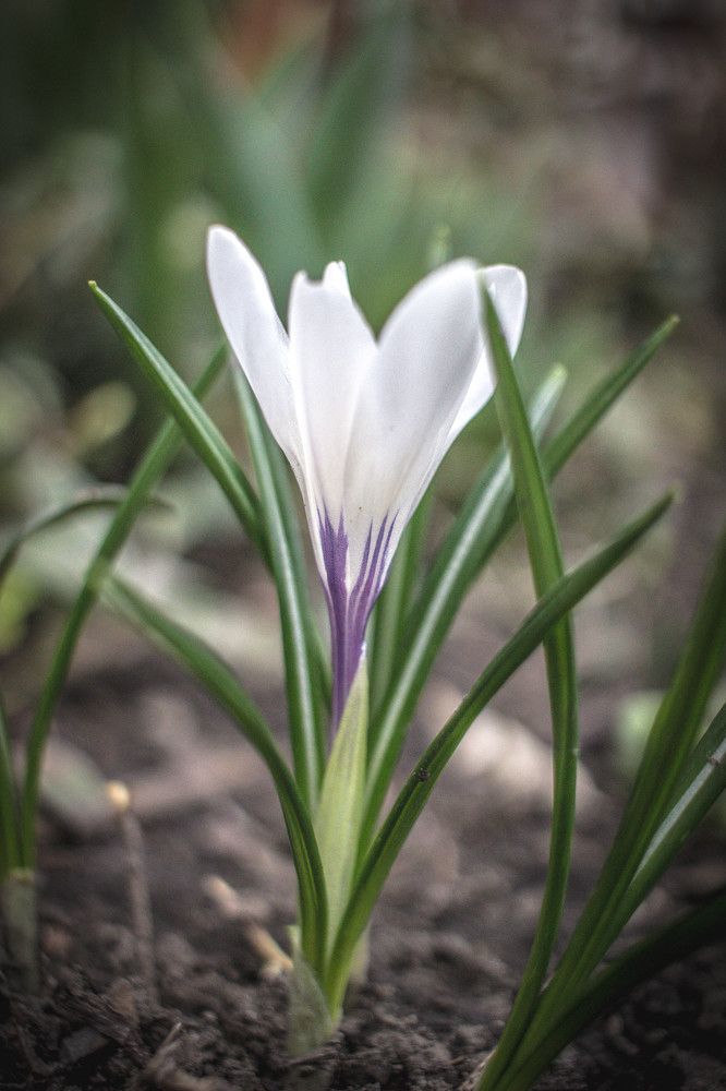 Photograph by Марина Евграфова