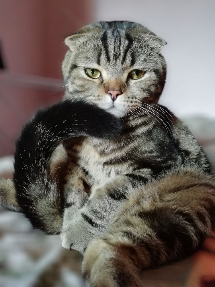 Photograph by Ольга Бородина