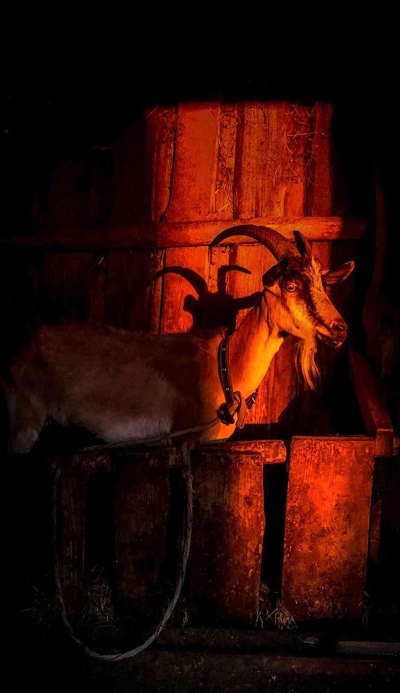 Photograph by Игорь Антонов