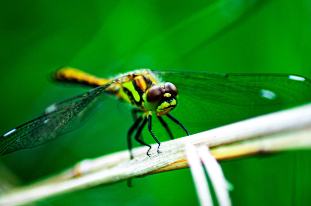 Photograph by Алексей Егоров