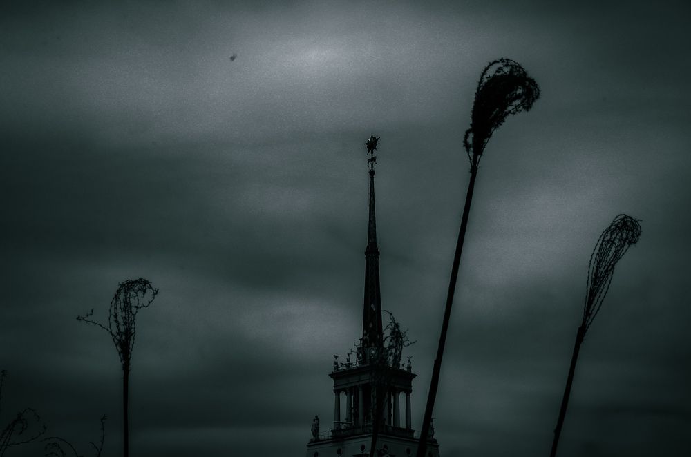 Photograph by Игорь Чечин