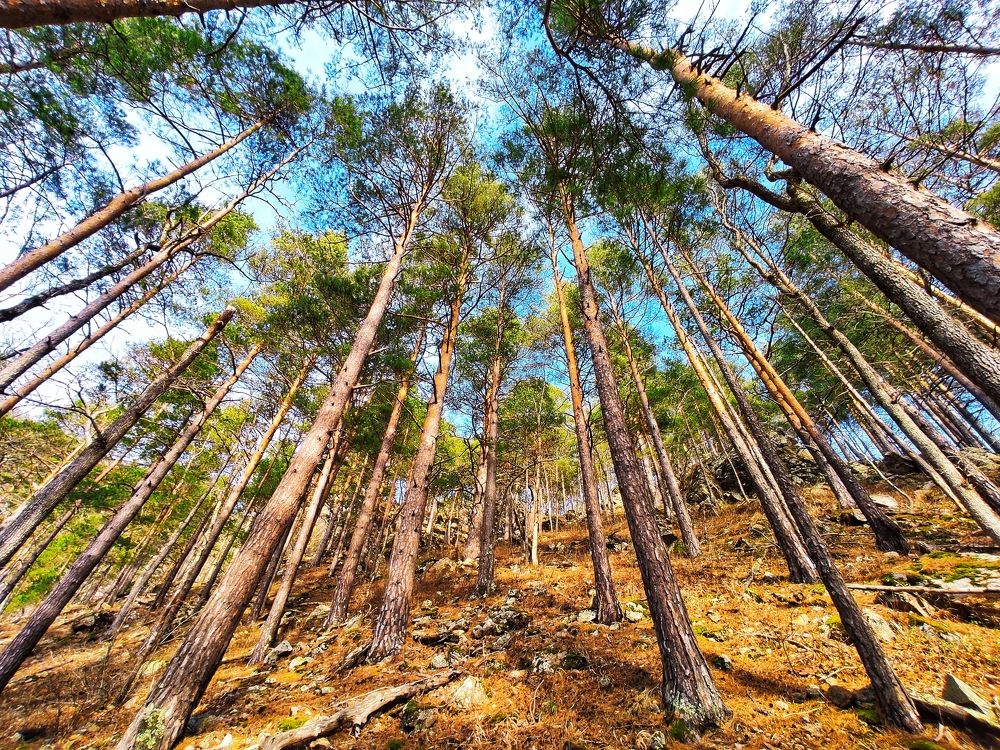 Photograph by Владимир Караман