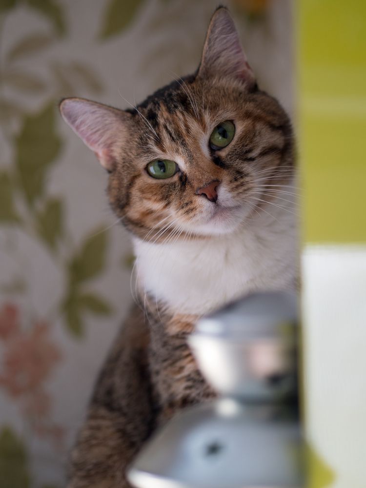 Photograph by Анна Шейко