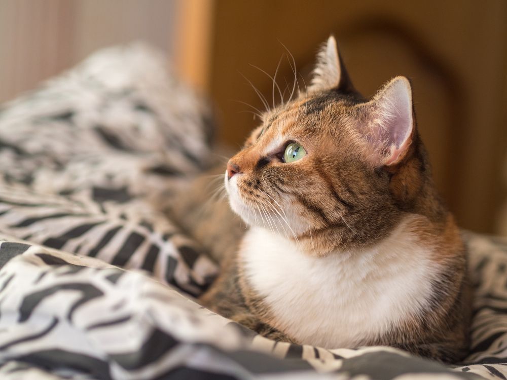 Photograph by Анна Шейко