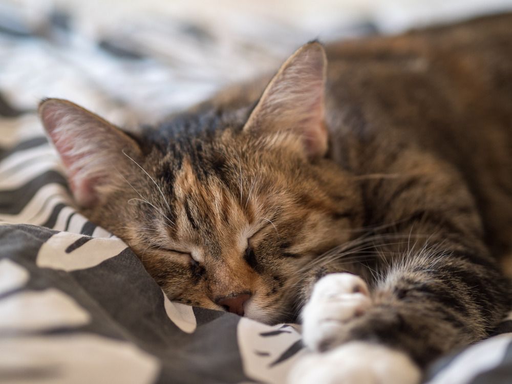 Photograph by Анна Шейко