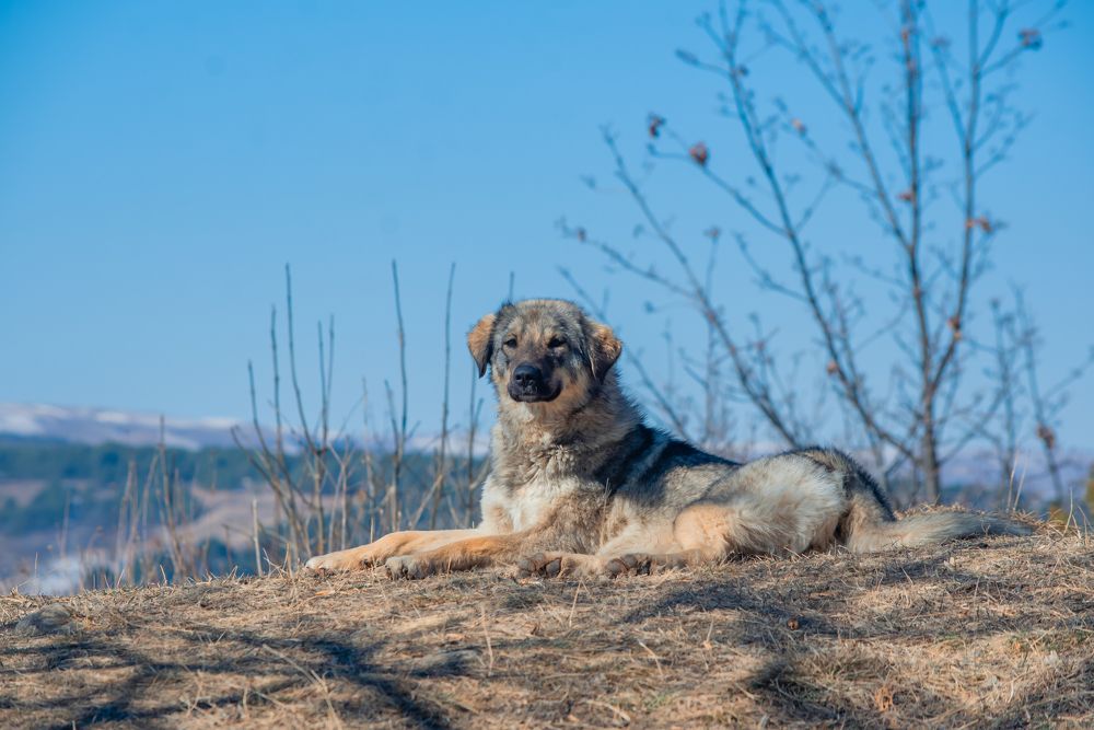 Photograph by Юлия Тарасенко
