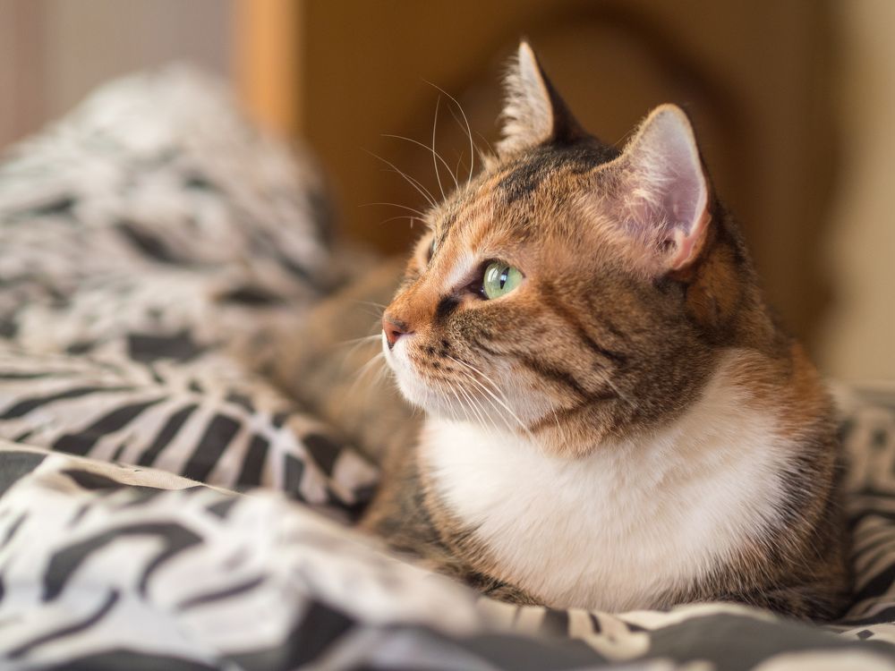 Photograph by Анна Шейко