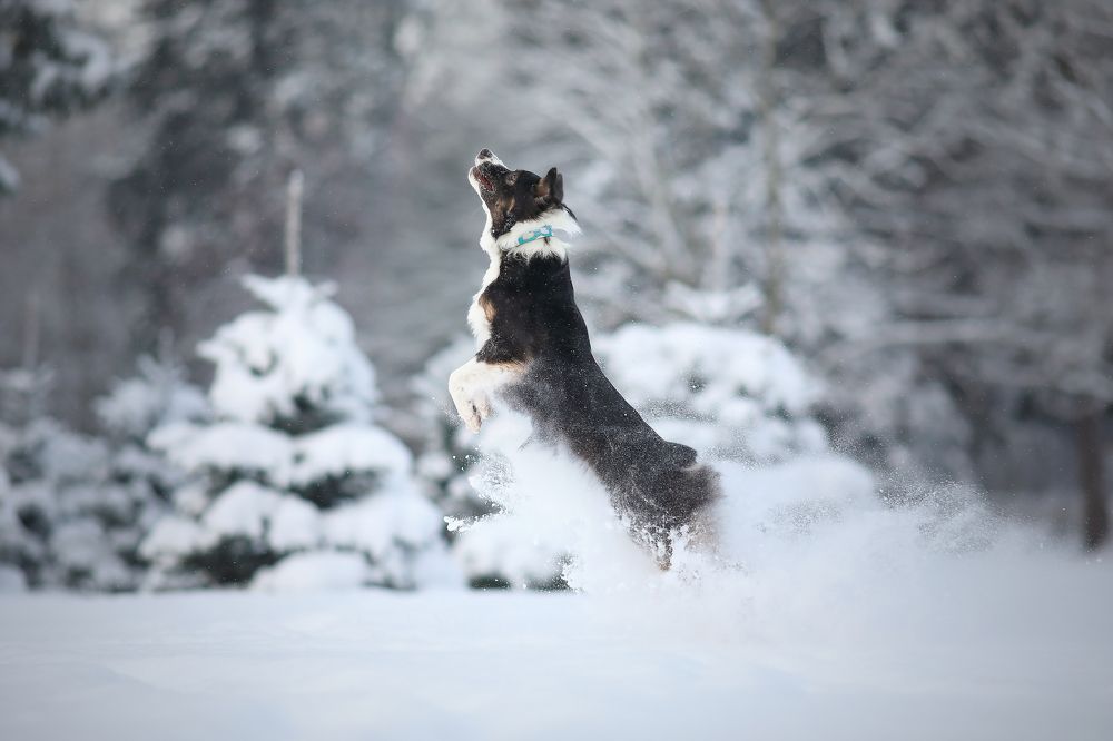Photograph by Жаренко Евгения