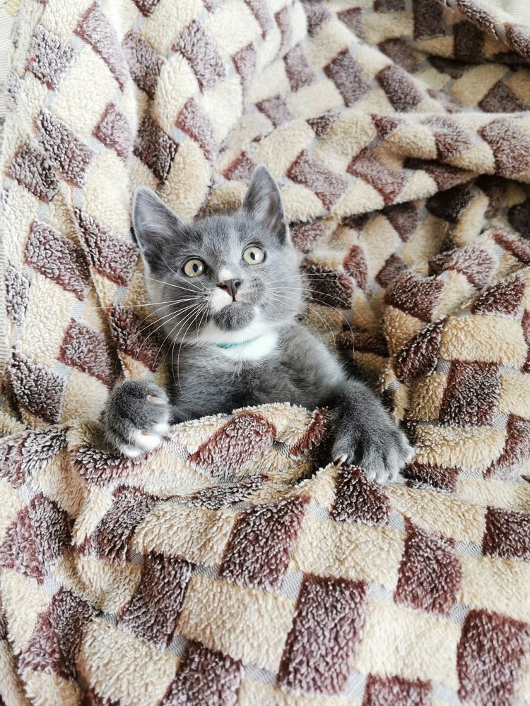 Photograph by Дарья Гомза