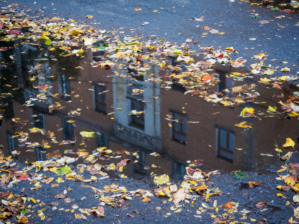 Photograph by Анна Шейко