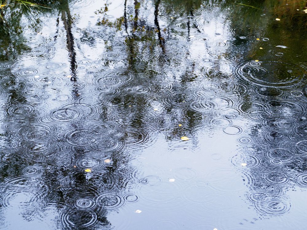 Photograph by Анна Шейко