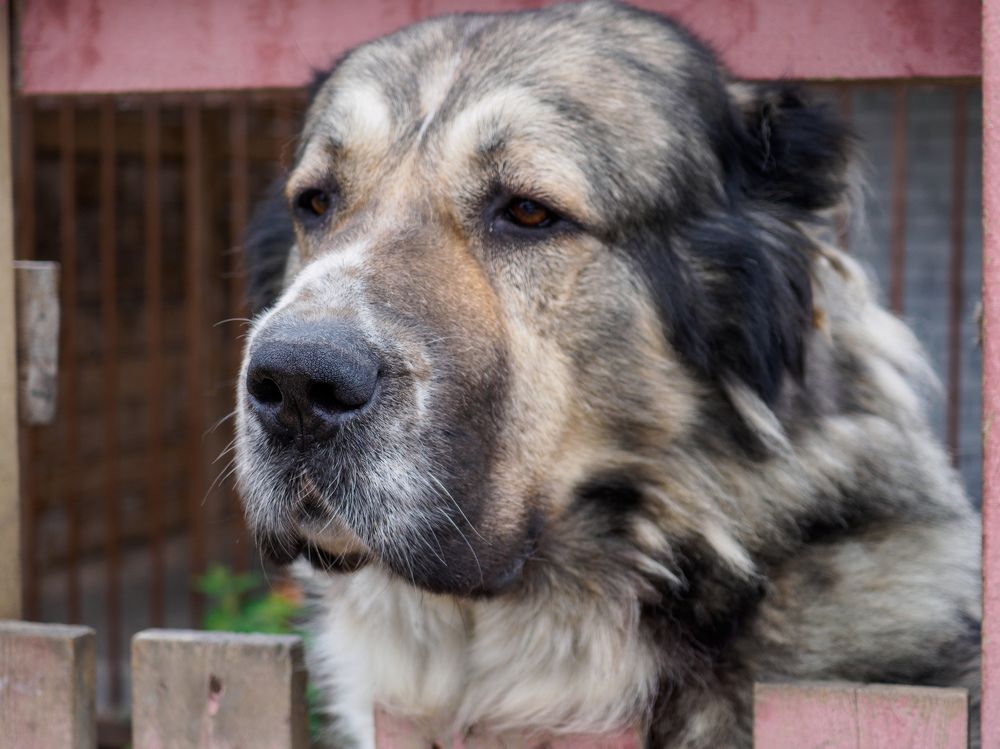 Photograph by Анна Шейко