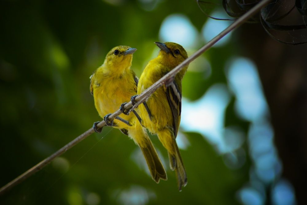 Photograph by Tanbin Farazi