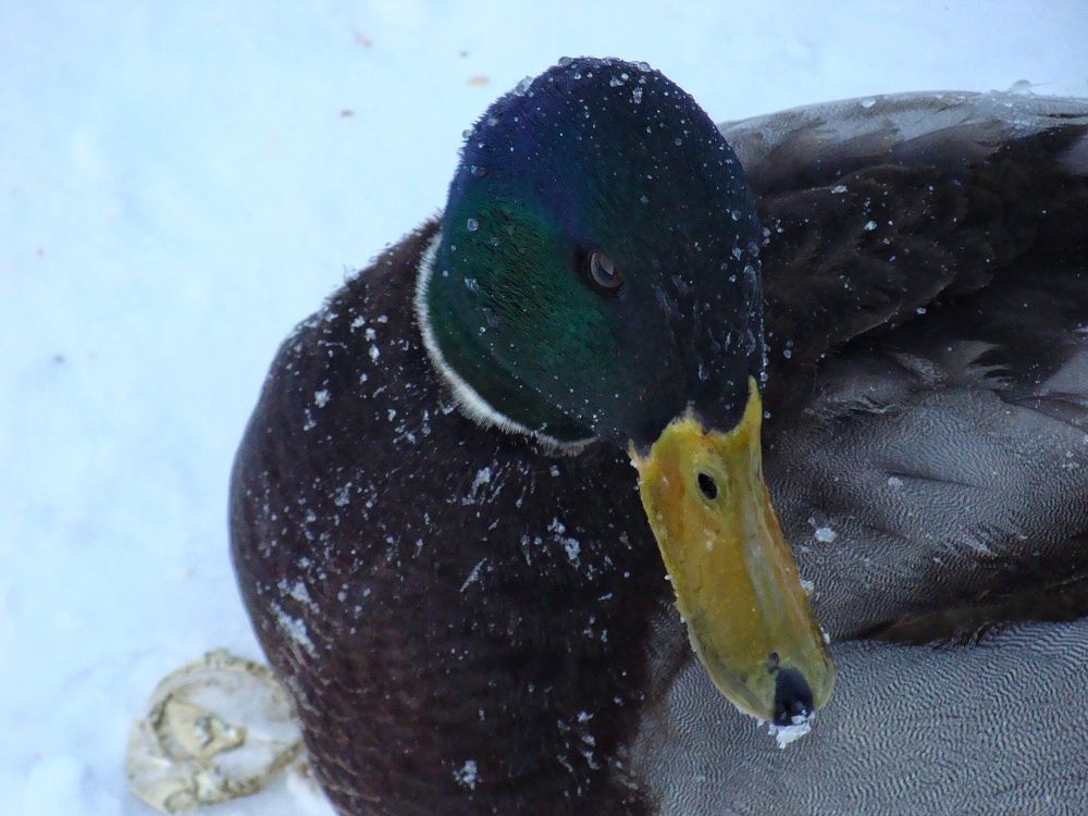 Photograph by Евгения Алексеева