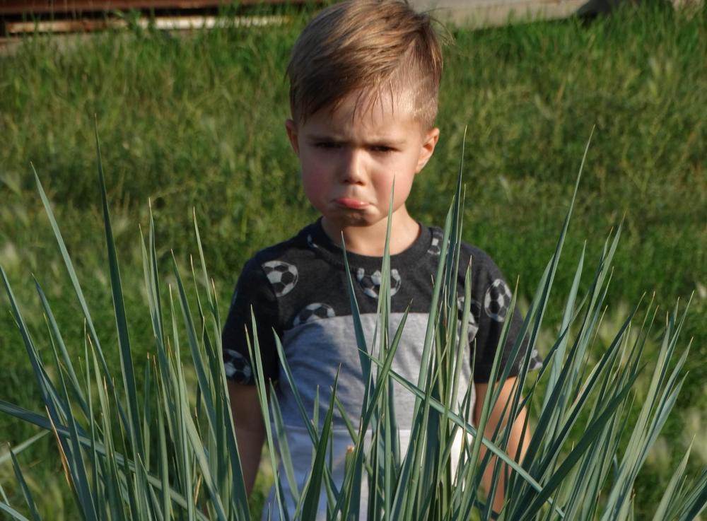 Photograph by Анжелика Трошина