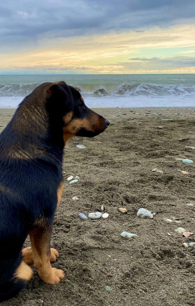 Фотография автора Александр Заикин