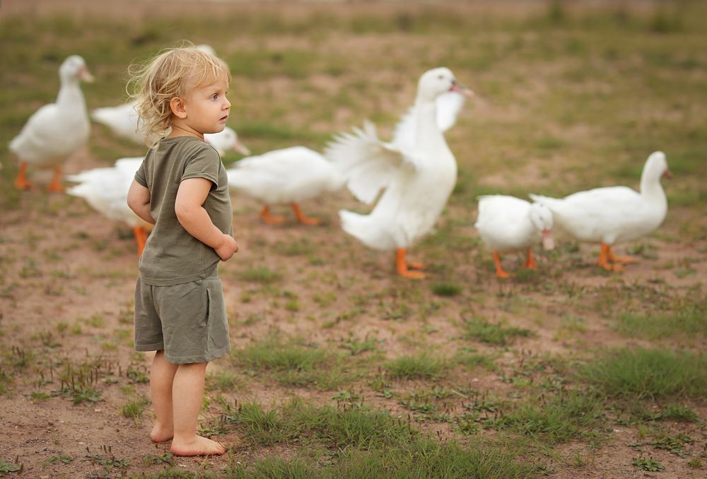 Photograph by Ирина Толстых