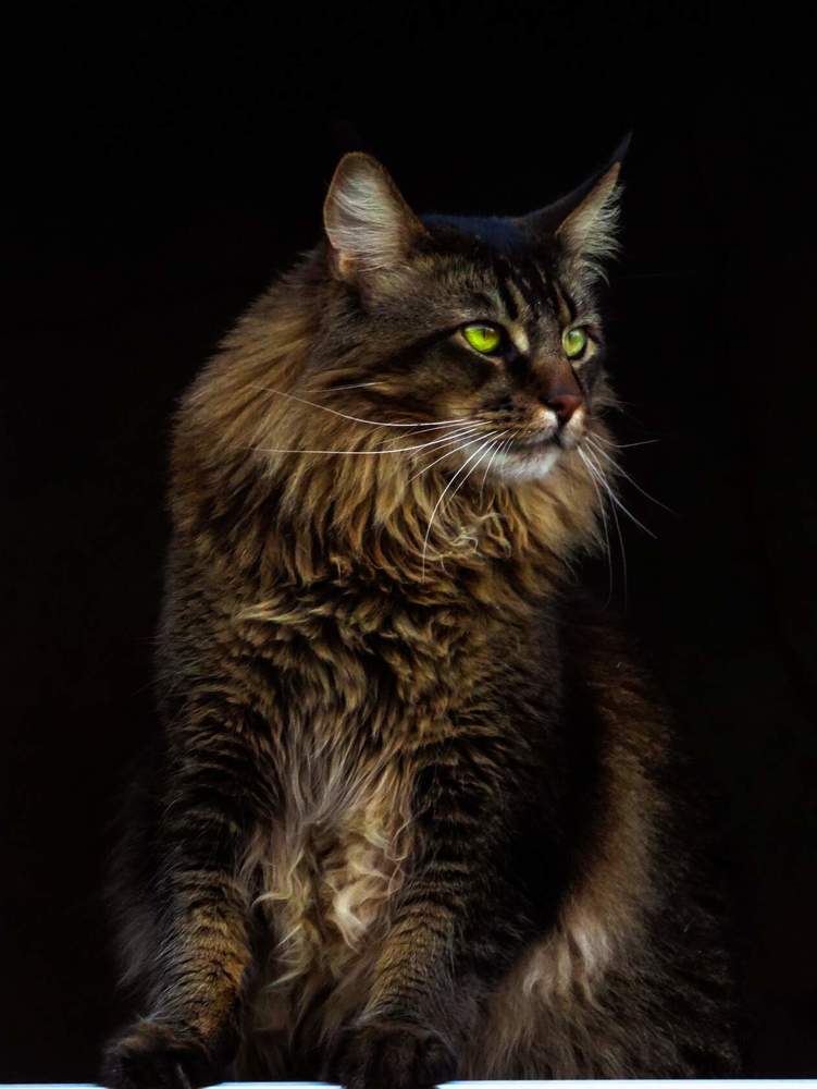 Photograph by Анжелика Трошина