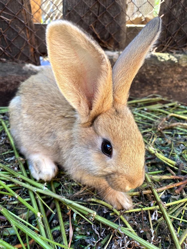 Фотография автора Александр Заикин