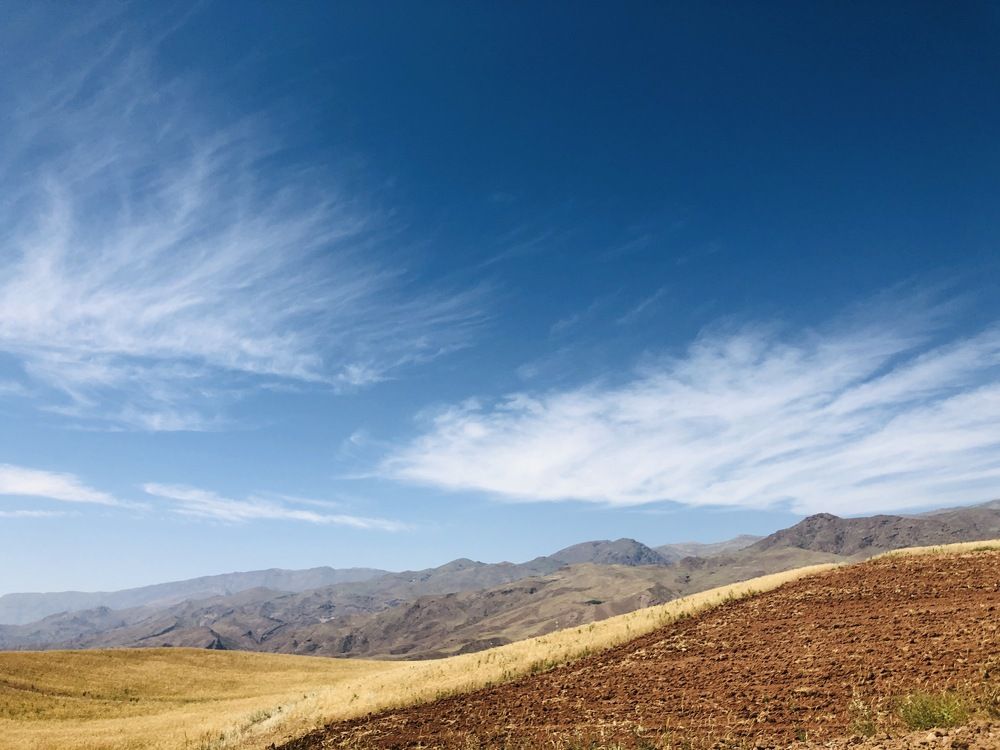 Фотография автора Faeze Eskandari