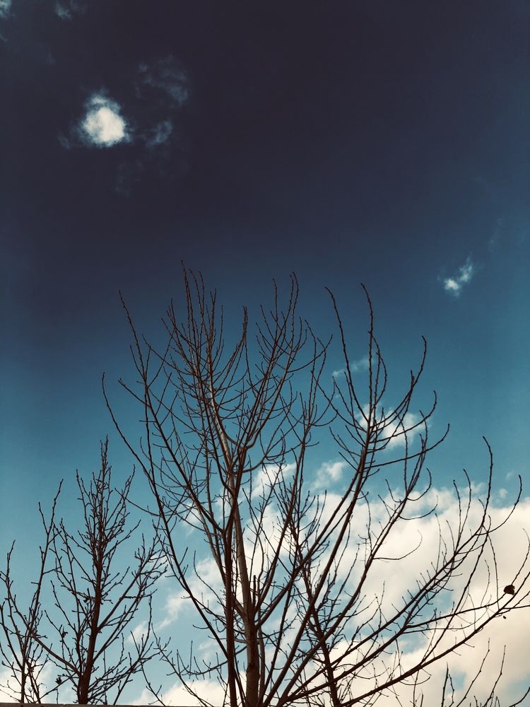 Фотография автора Faeze Eskandari