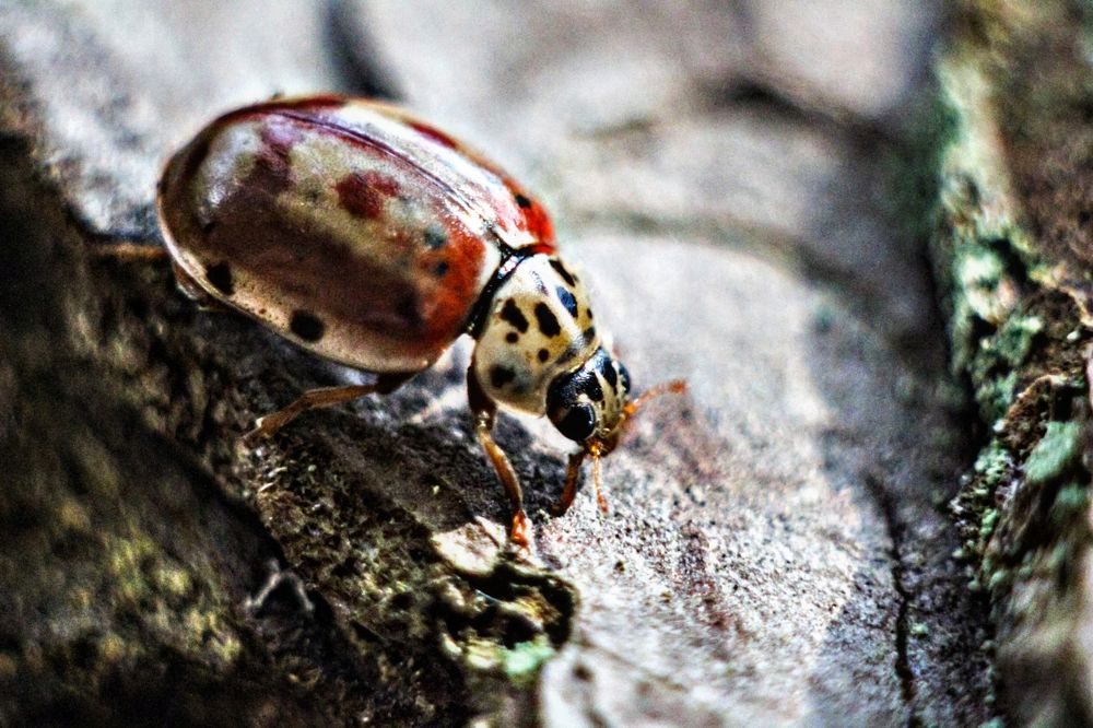 Photograph by hobbit