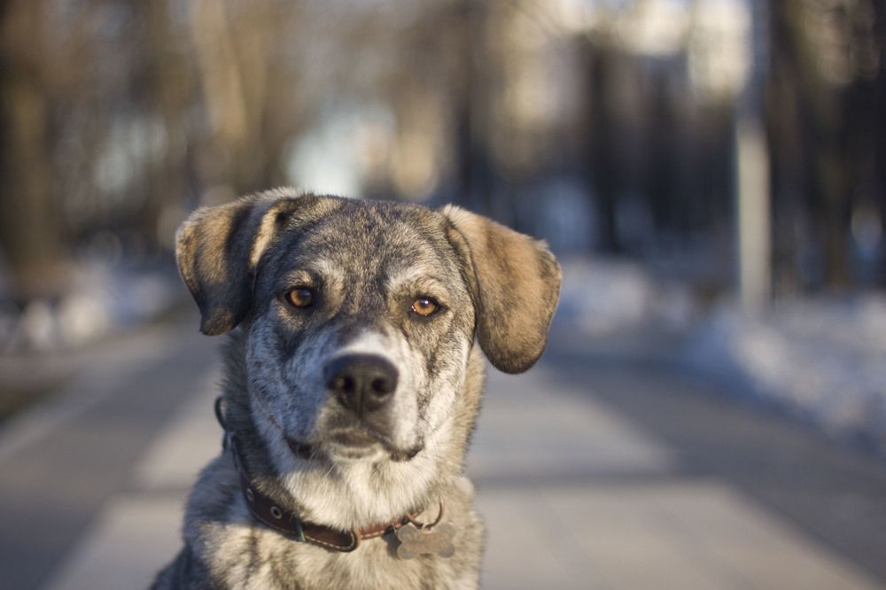 Photograph by Елена